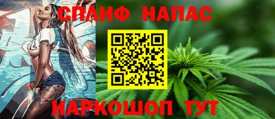 гашик Кандалакша